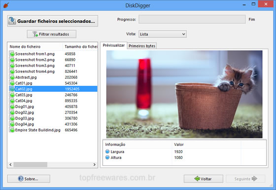 Programa para recuperar arquivos deletados - DiskDigger