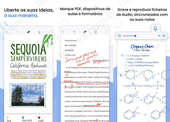 notability top5 apps anotacoes pdf ios